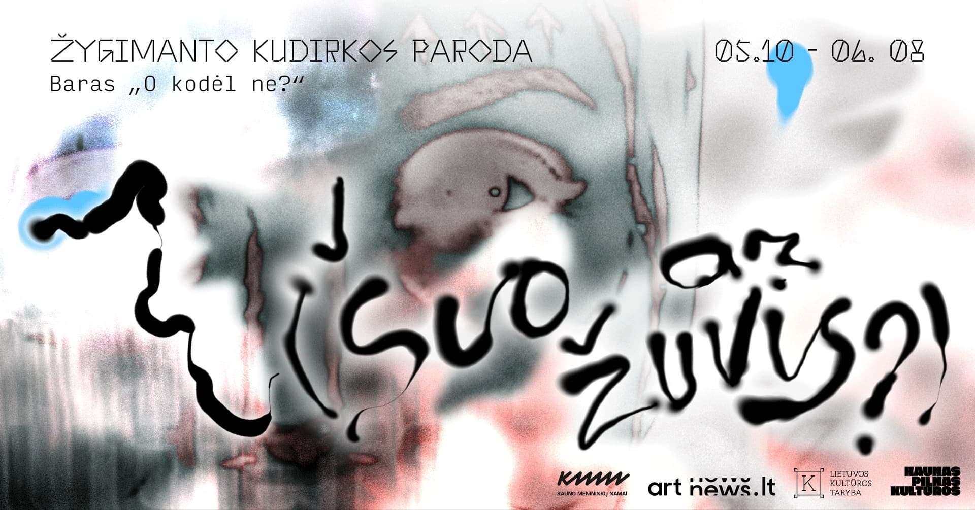 Dream Belly-up (Dog or Fish?) | Žygimantas Kudirka exhibition