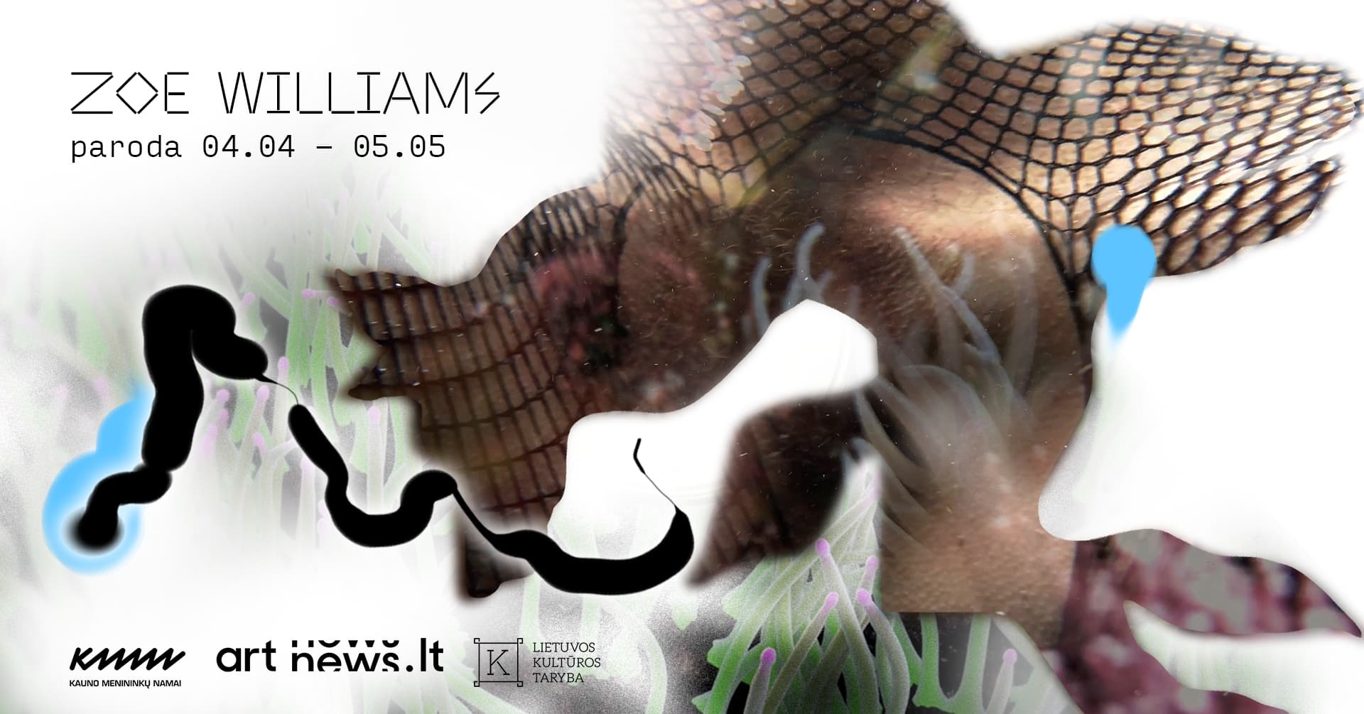 Belly-up Dream (Dog or Fish?) | Zoe Williams exhibition