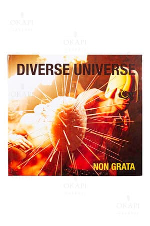 NON GRATA book DIVERSE UNIVERSE